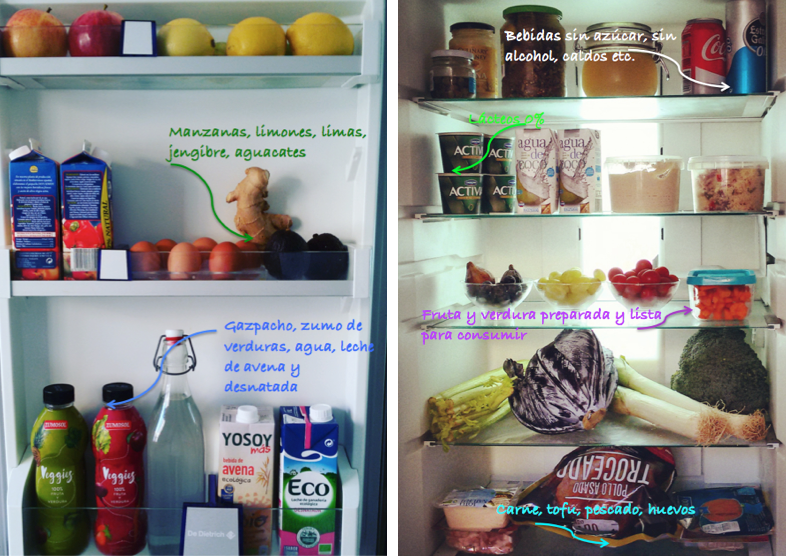 blog fridge