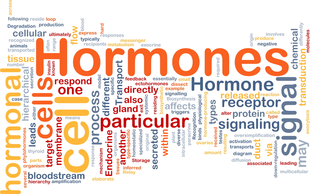 Las hormonas…..