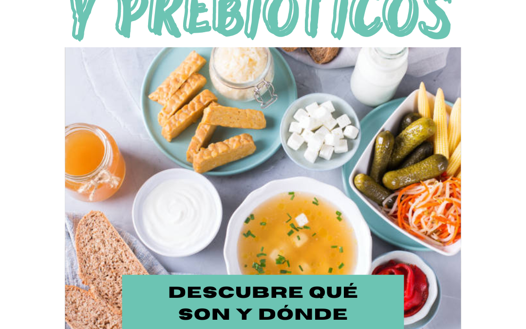 Probióticos y prebióticos